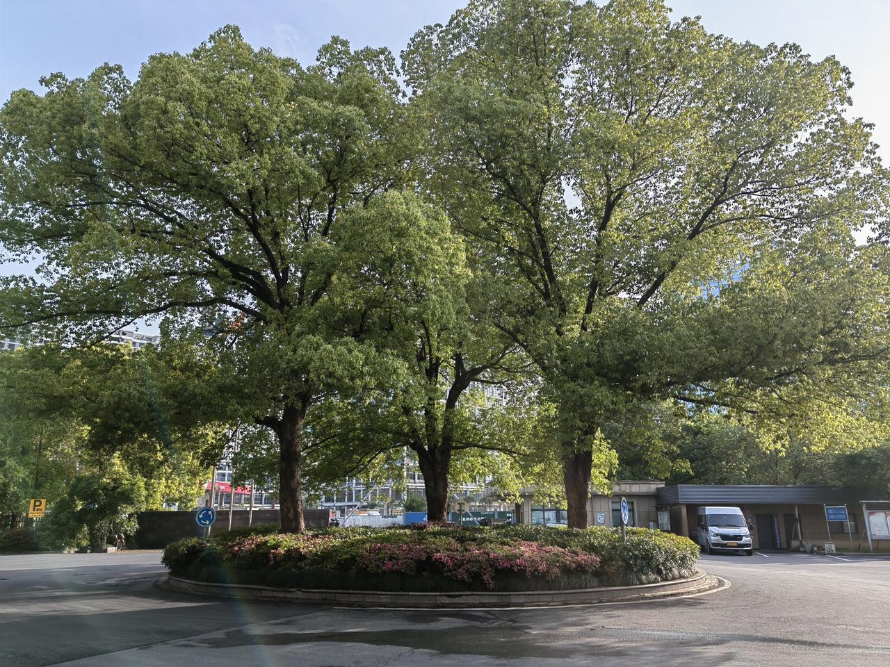 “看破”也能“点破”的才是“真正的朋友”，否则，表面上大家和和睦睦，实际上对“朋