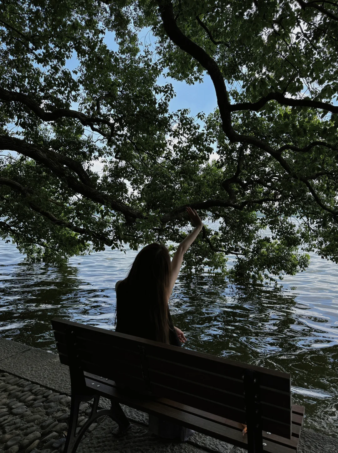 逛逛西湖🌳｜这个机位真的好绝