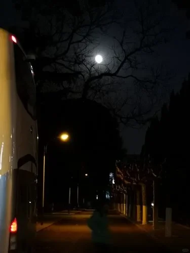 失眠困扰5年，终于中药调理成功睡个好觉 患者王女士，30岁。5年前因为...