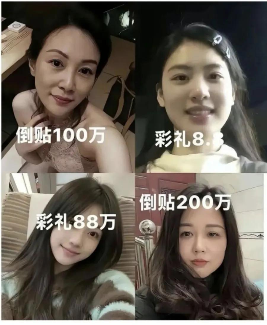 如果是你会选择哪个？
