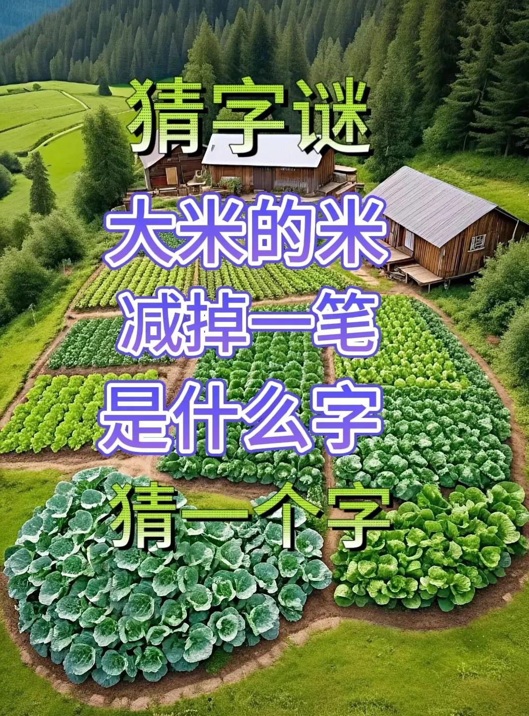 猜字谜！大米减掉一笔！是什么字！这题实在太难了!