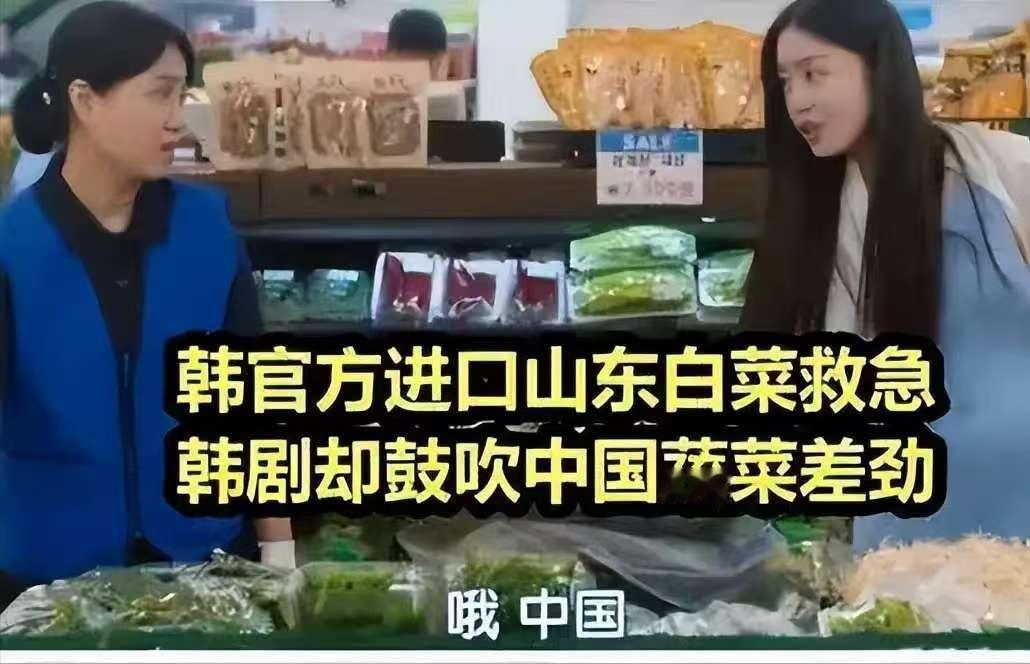 涨价两倍，爱买不买！”倒反天罡！2024年，韩国因白菜供应不足向中国求助，可当中