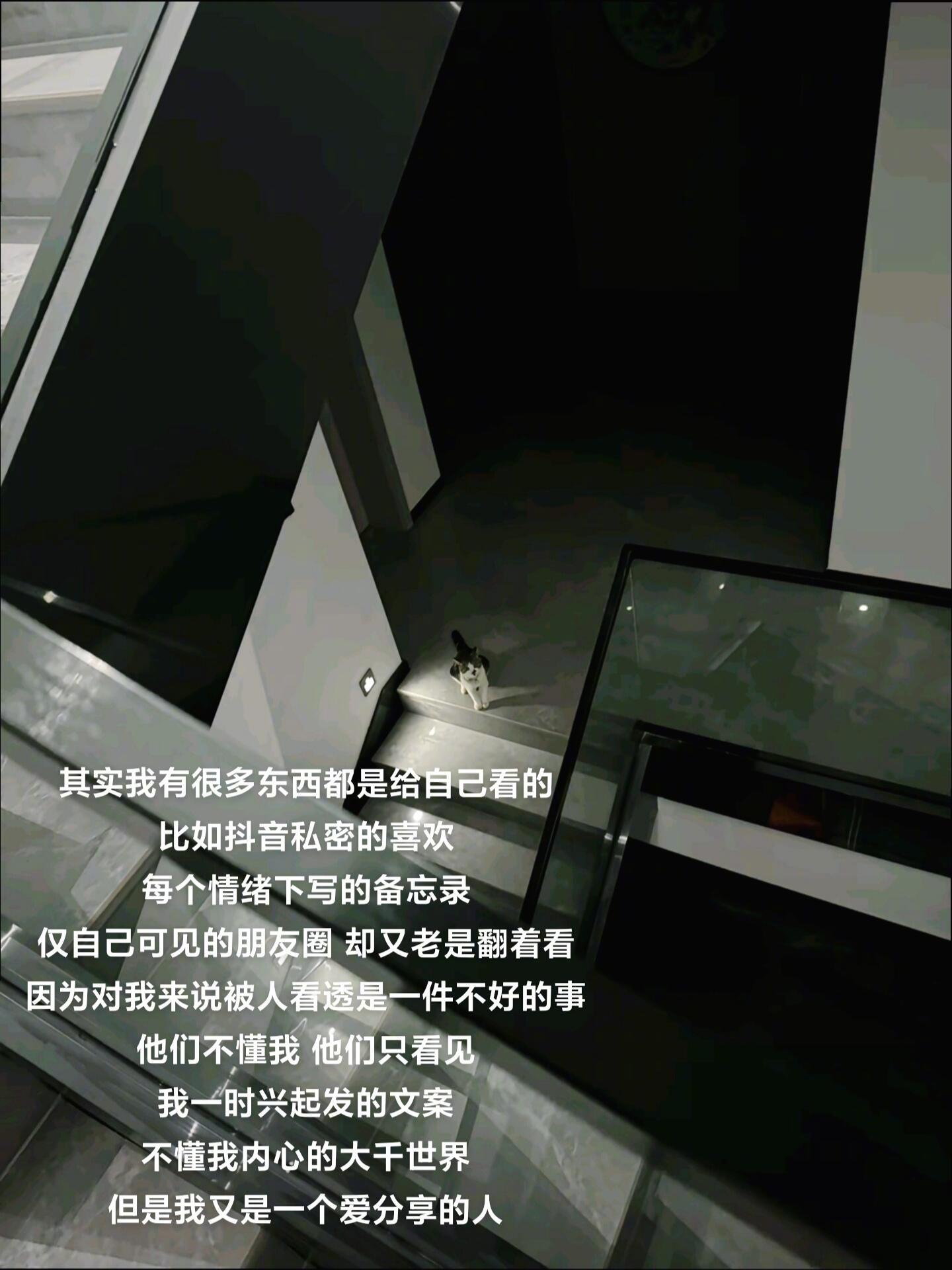 "我们渴望被理解，却又害怕被看透。"