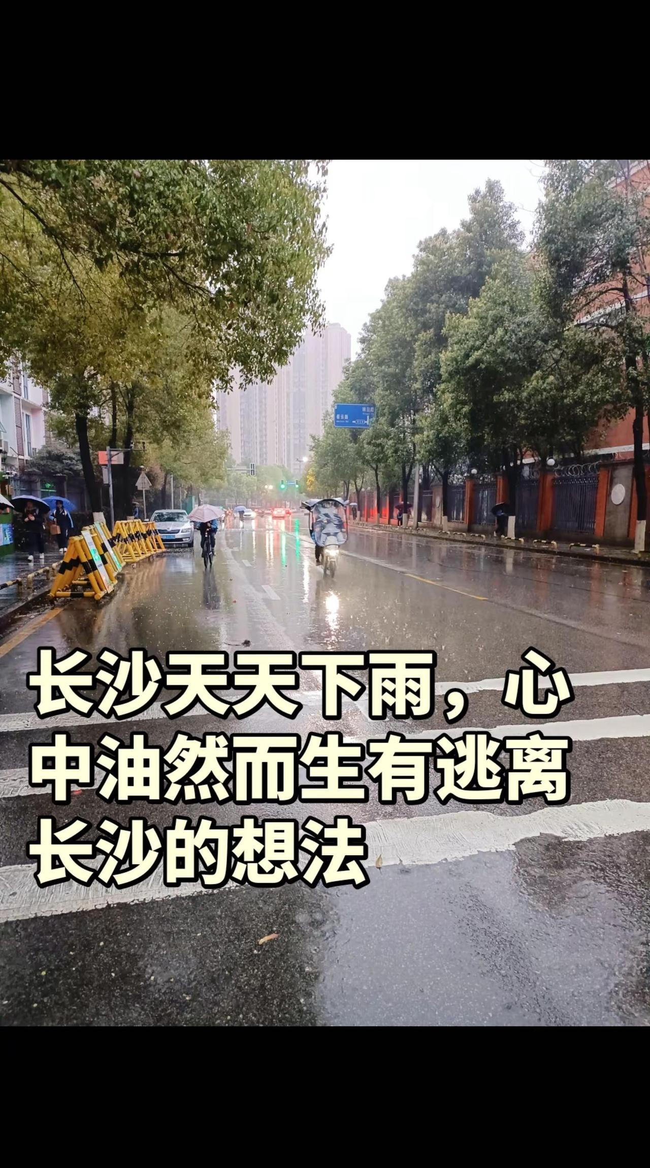 长沙天天下雨。上热门 随时随地记录身边事 我们都在各自奔向不同的人生 有多少友友