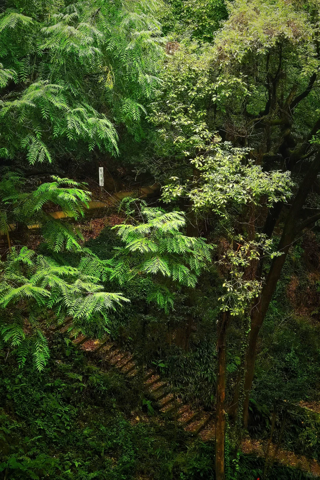【南山英国大使馆别墅旧址】