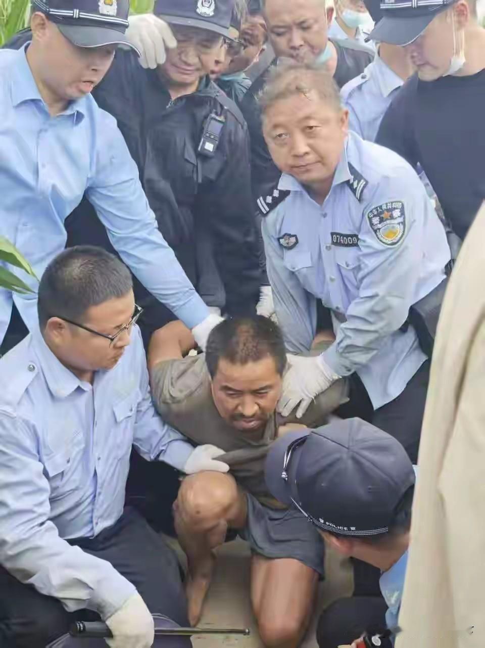 看到这样的图片
我有一点心情复杂
说不上开心，也说不上难过
或许我属于麻木不仁那