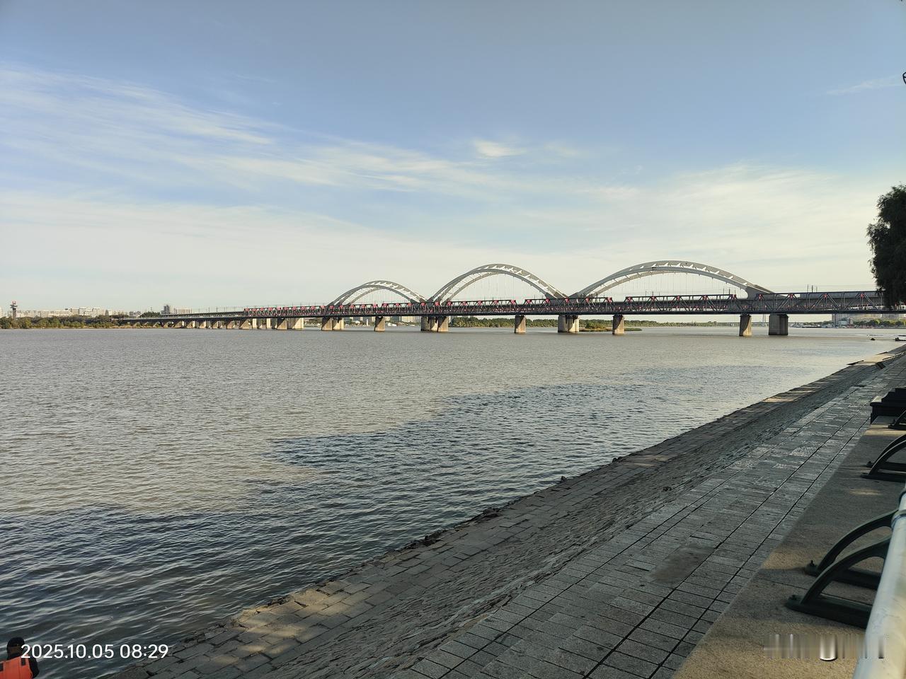 清晨的哈尔滨松花江畔，人不多，天空晴朗，公园绿树成荫，垂钓晨泳健身