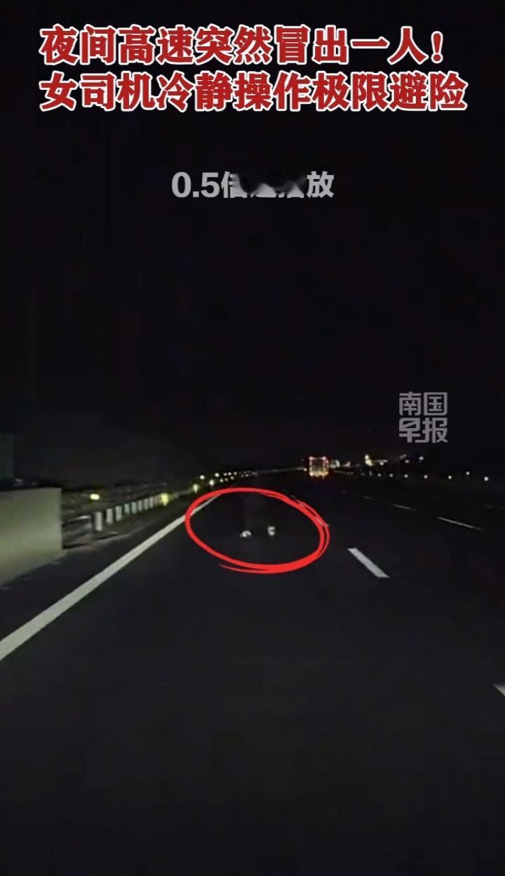 女子和老公在高速上悠哉的驾驶着电动车，打开了辅助驾驶，忽然前面冒出一个模糊的人影