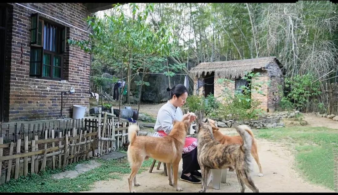 人到中年最大的感悟：人，只要不生病，其它事情都是浮云

真的，人到了中年，若还能