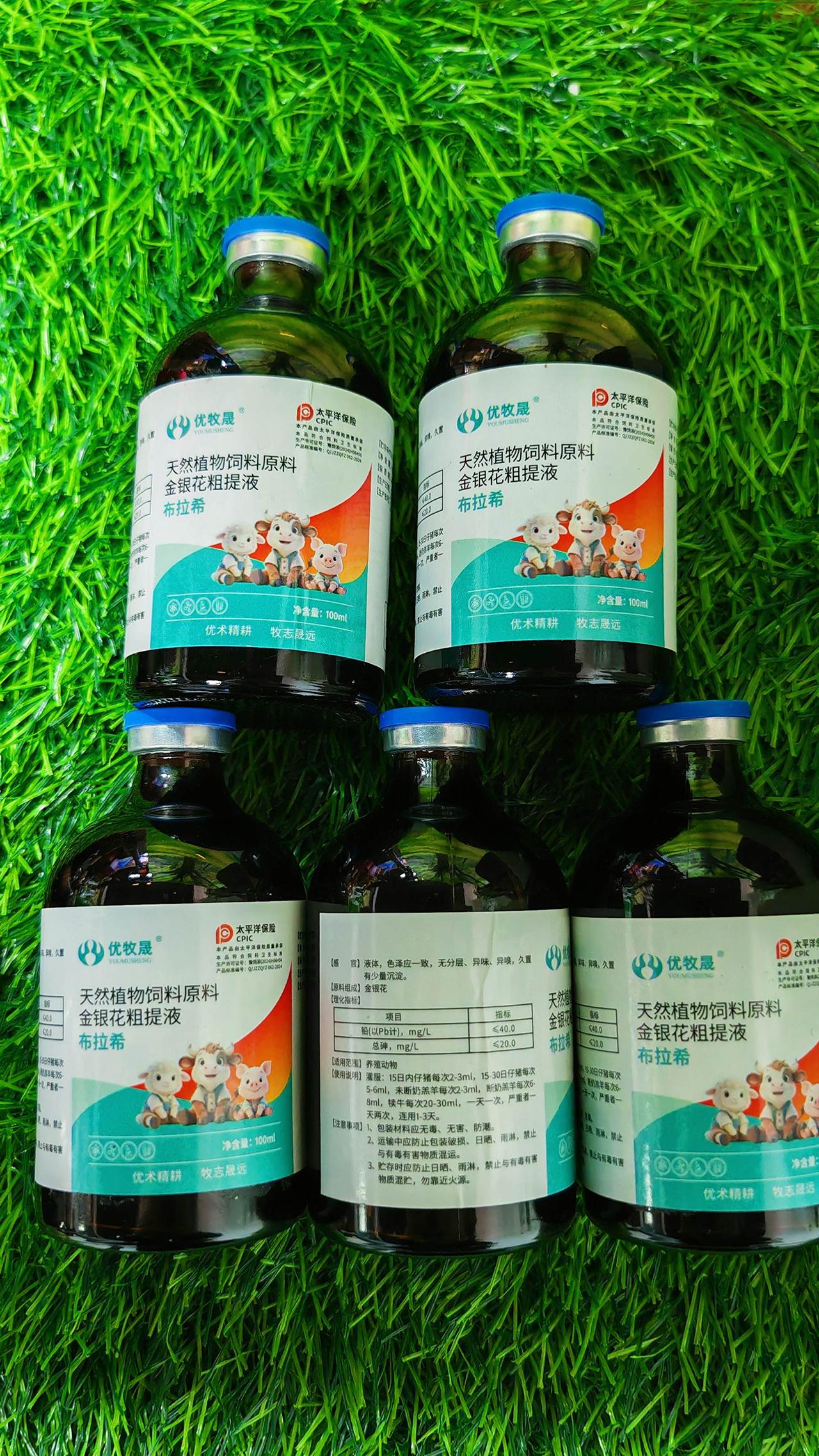 养羊人 农村养羊 牛羊养殖