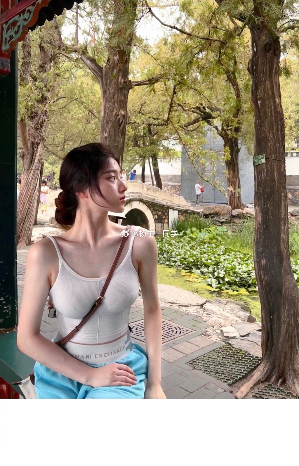 虽由人作，宛自天开  ​​​