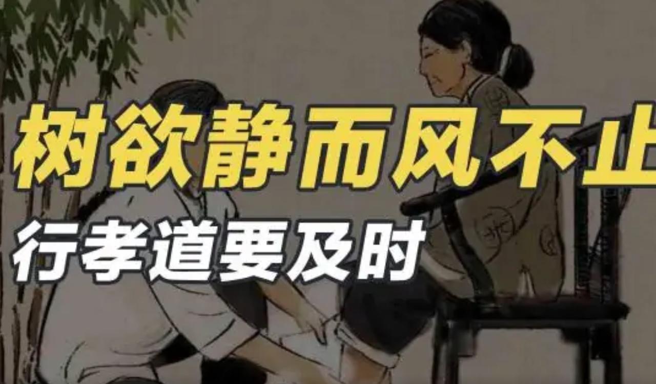 争了半辈子，我最后悔的就是把父母辩到哑口无言。
那些我们誓死要纠正的“父母式固执