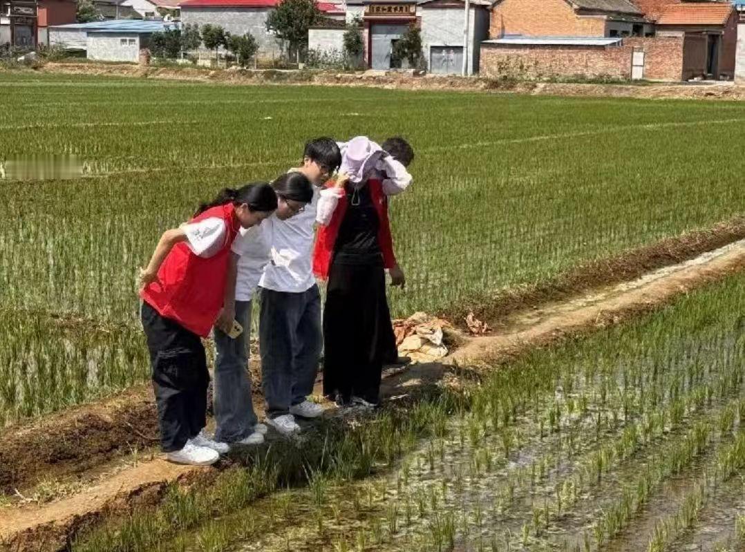 秦岭笑谈 【乡野践使命 志愿暖民心】曲阜师范大学三下乡2026暑期社会实践星燃乡