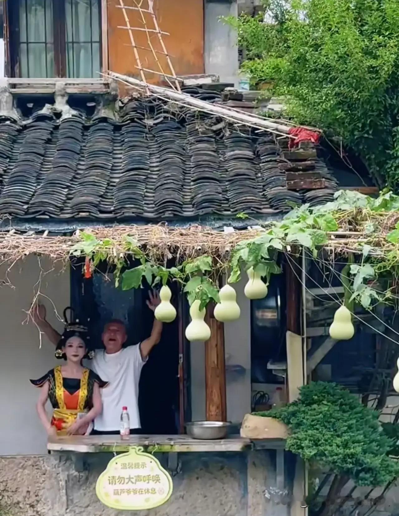 我举双手支持“葫芦娃”爷爷，把葫芦给摘了。

我就想不明白了，不就是藤上结了几个