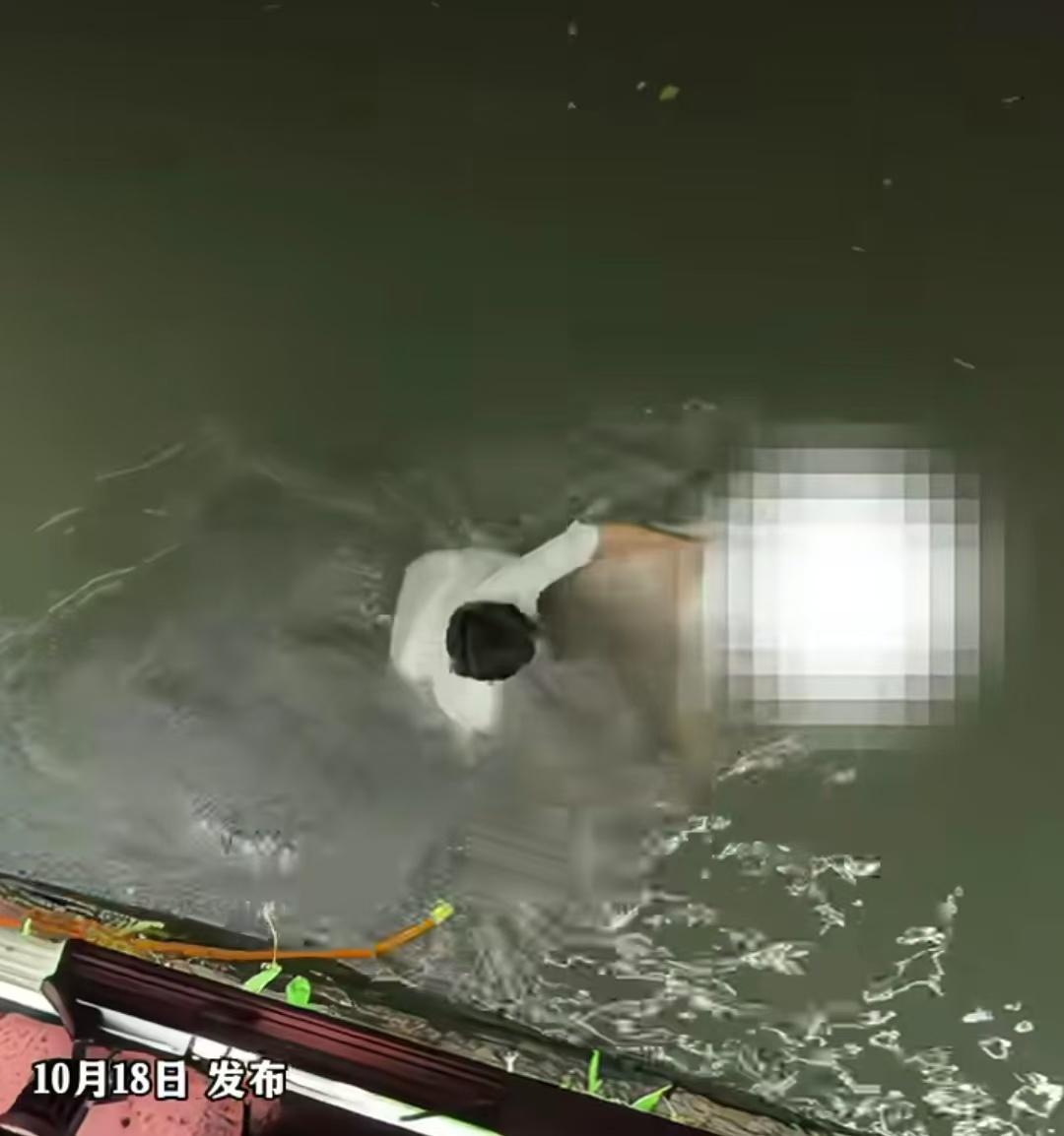 男子救落水女子后发视频记录，被救女子以侵犯肖像权投诉将救人视频下架。救人男子称，