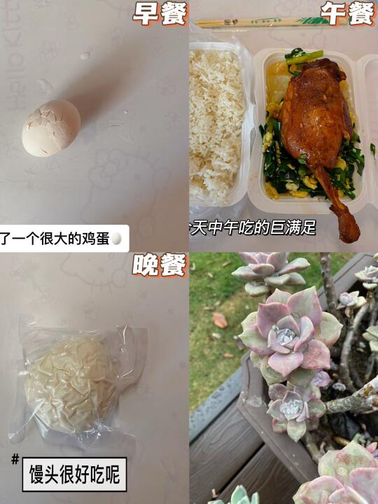 📅5.11｜  好好吃饭｜今天是母亲节呢👩