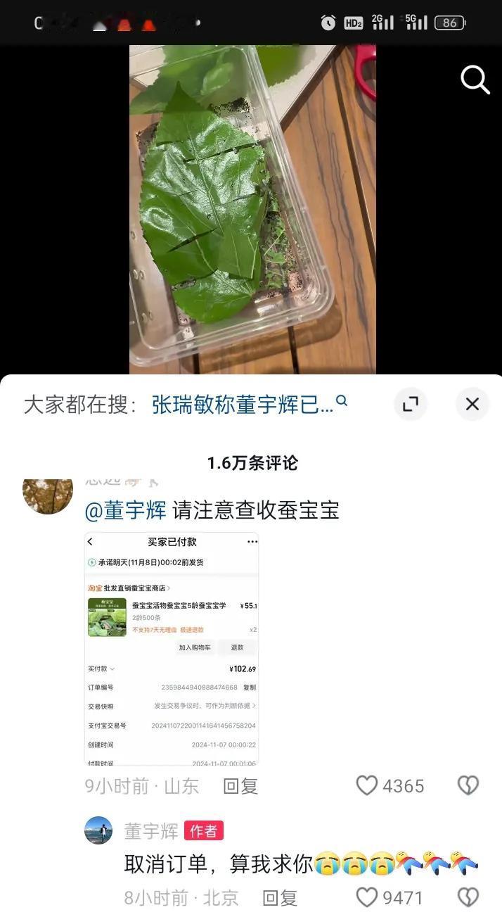 可千万别给宇辉寄蚕宝宝了
那你要把他忙晕啊
如果只是开个玩笑无伤大雅
养个几十个