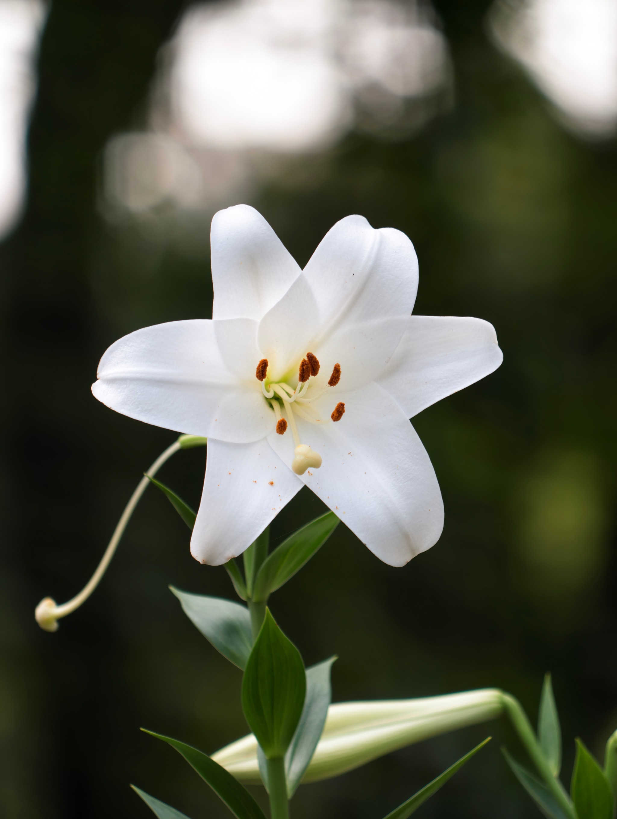 400mm这景深，真的太对味了
