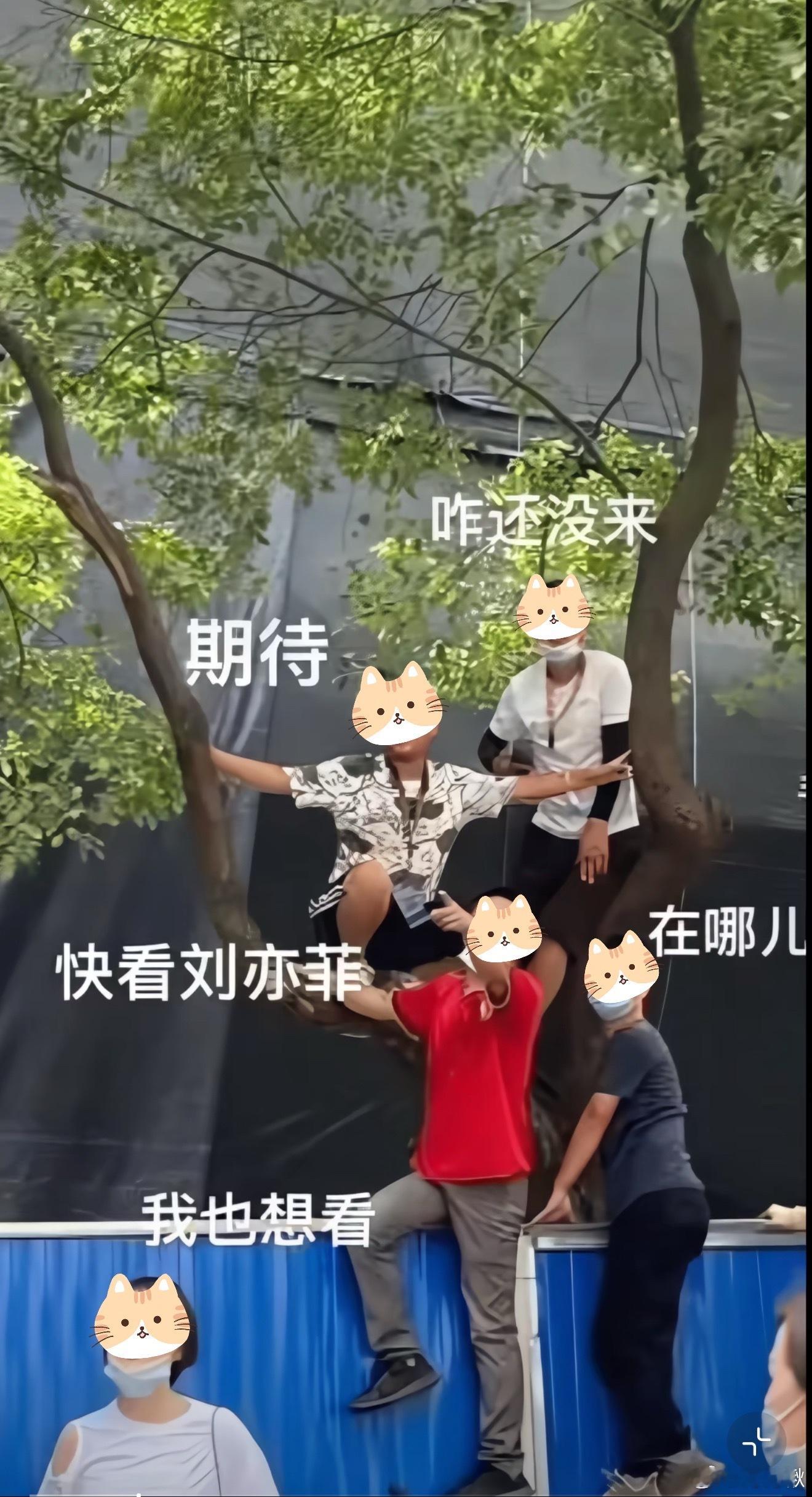 就说似曾相识呢 ​​​