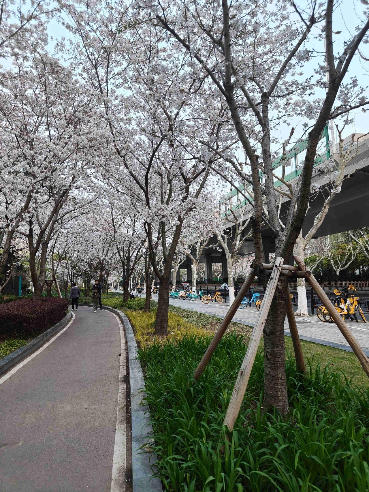 我的今日状态：😁轻松愉快
我这里的天气：🌤️多云