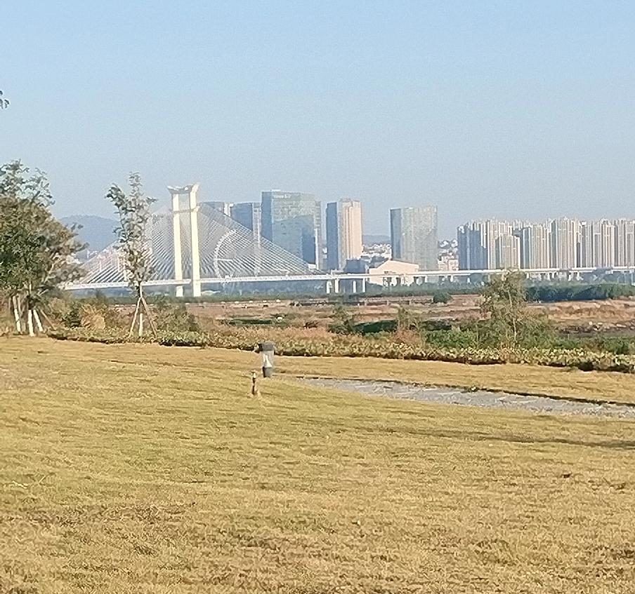 我就是基本盘，只有基本盘才能使中国稳定发展，打败一切牛鬼蛇神。
能作为国家的基本