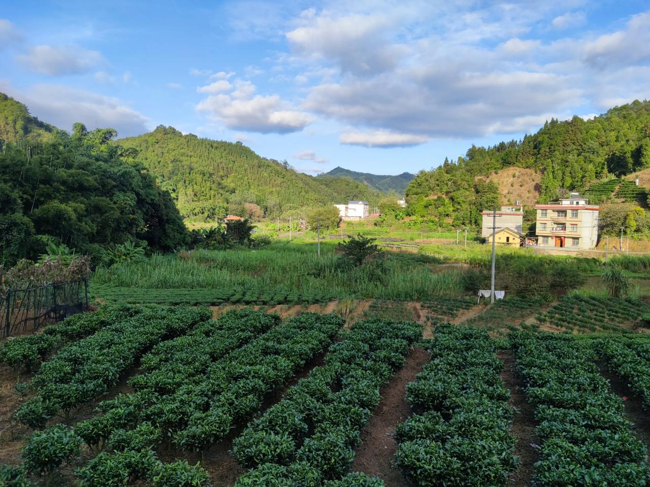 某日路过昭平一个村子，深深的被这个局吸引了，没想到深山能有这种这么稳的堂局，围得