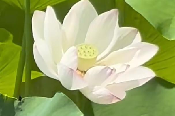 真正的爱是克制不住的，因为会想念，会忍不住想联系。
能忍住不联系的，也许各有各的