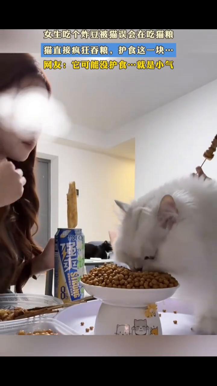 女生吃个炸豆被猫误会在吃猫粮，猫直接疯狂吞粮，护食这一块。
网友：它可能没护食，