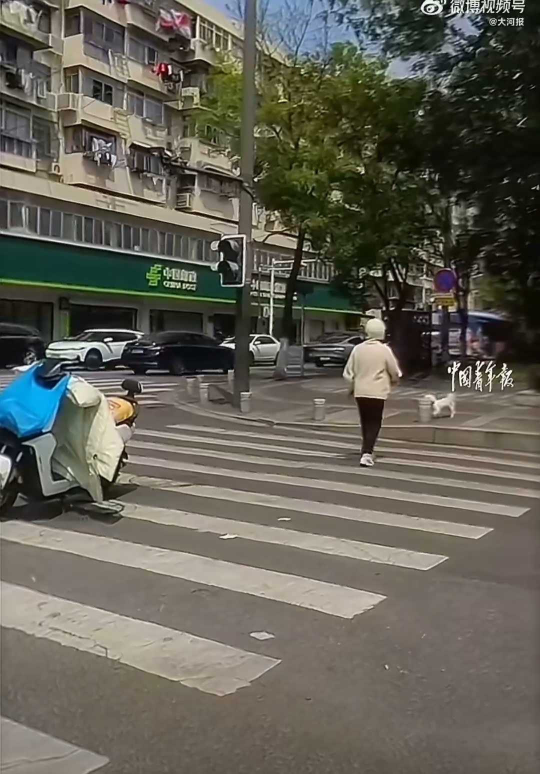 狗狗未牵绳被碾压主人当场崩溃 遛狗不牵绳，真的是对宠物最大的不负责。小狗不懂危险