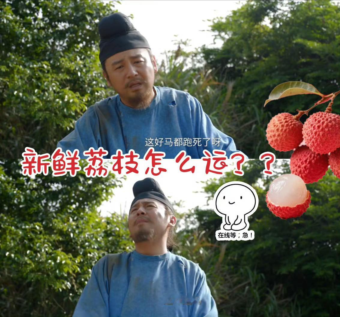 董明珠送李善德一件保命神器格力好冰箱保鲜超给荔 要是你看过《长安的荔枝》，肯定对