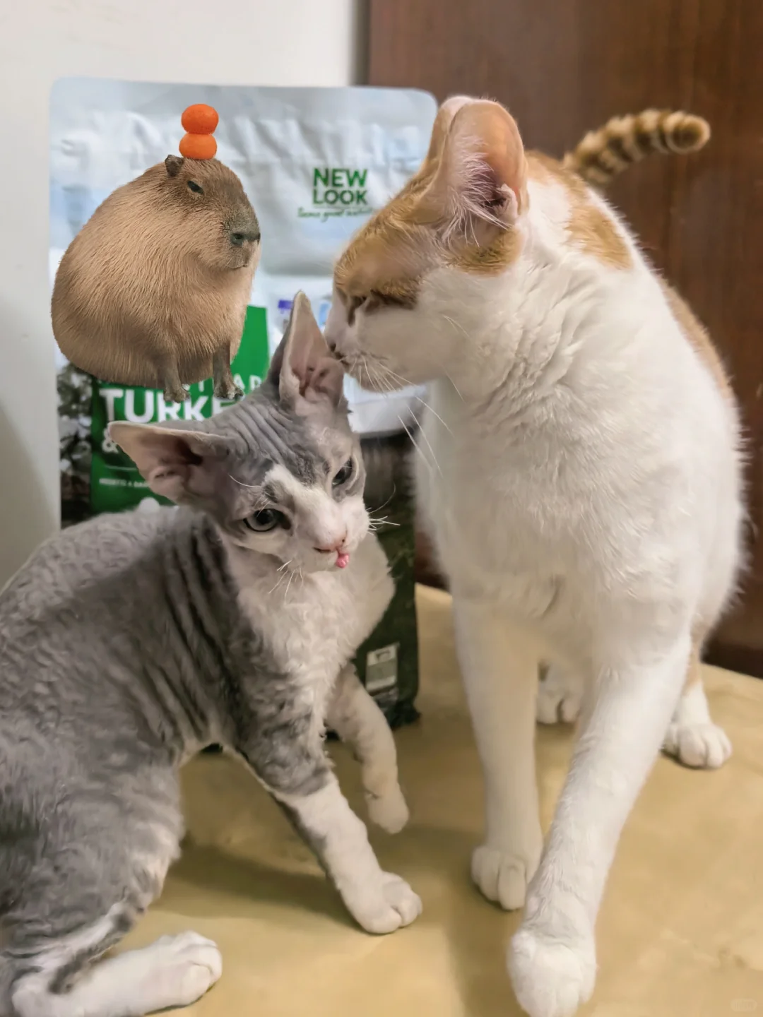 我的德子怎么就年轻轻的变成了皱巴老头？