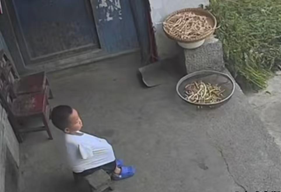 监控拍下暖心一幕，懂事男孩独自收拾家中晾晒物。近日浙江一位在外务工的母亲，通过家