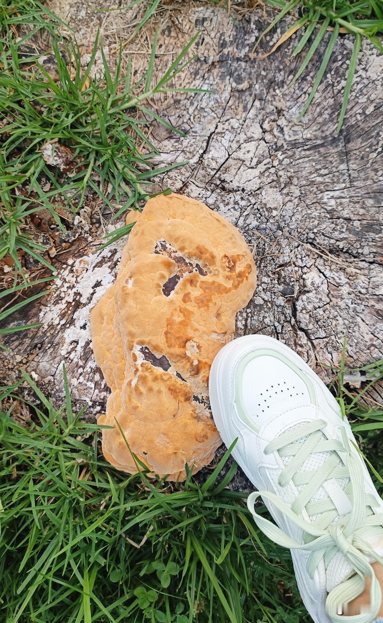 看到很多过去街道旺铺纷纷改造，重新装修，短短一年内，换了几拨人，几拨经营种类。