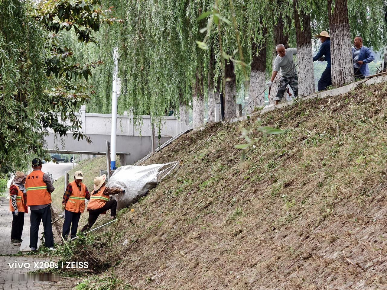 随州拍照打卡环卫工清理自云湖堤杂草，用工具袋向上拉杂草，老天关照近两天既没下雨，
