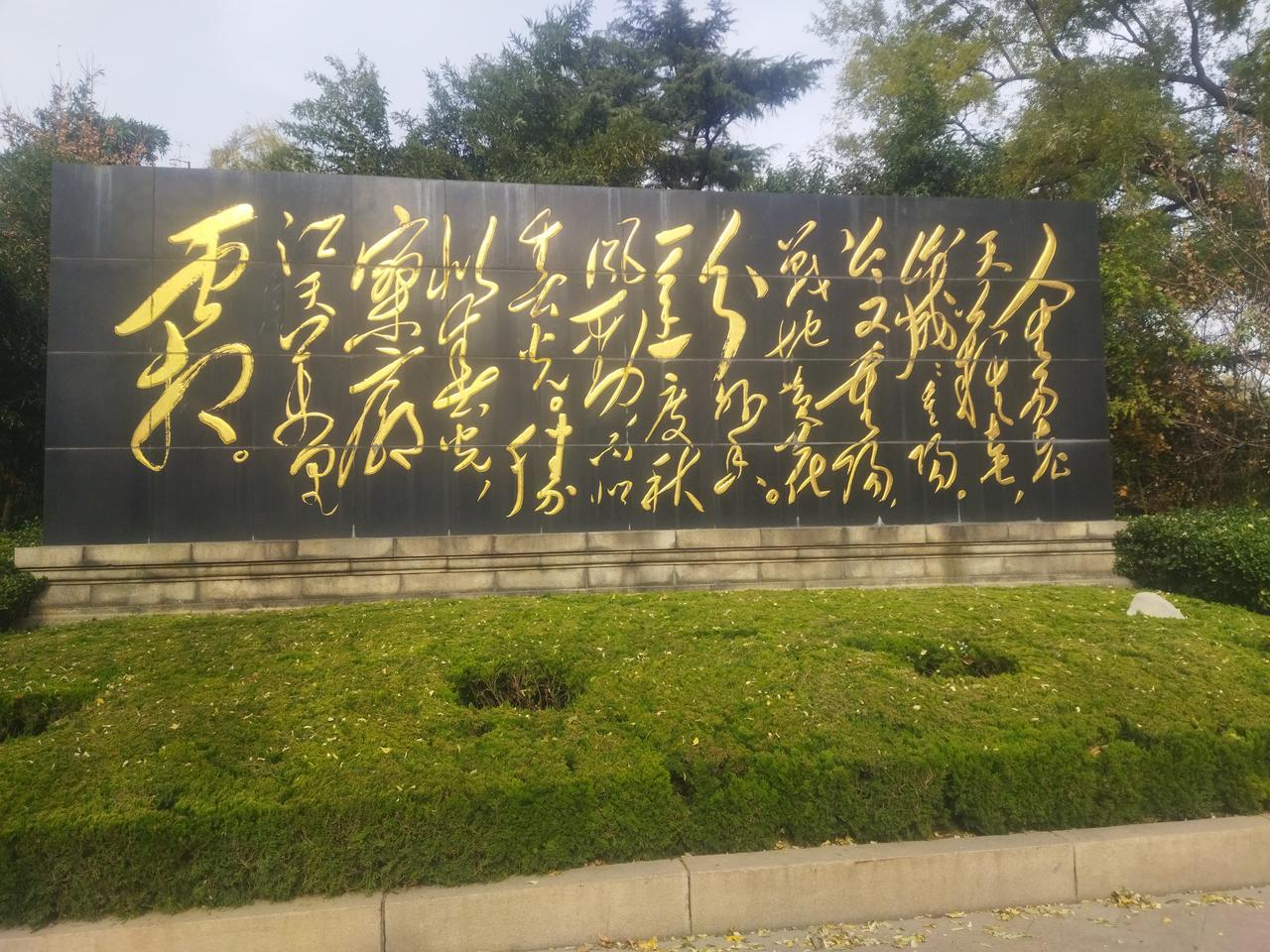 人生易老，天难老，岁岁重阳，今又重阳。战地黄花分外香。一年一度秋风劲，不似春光，