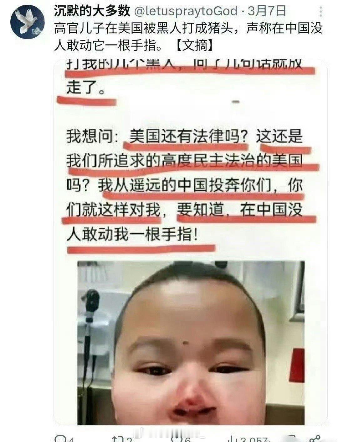 儿子在美国被黑人打成猪头，我从遥远的中国投奔你们，你们就这样对我？在中国没人敢动