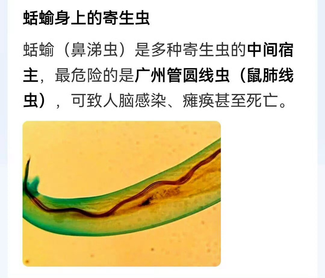 爱吃生菜的人天塌了还好我不爱吃生菜嘿嘿嘿不过这个ct好眼熟啊感觉爱吃的也迟早遭殃