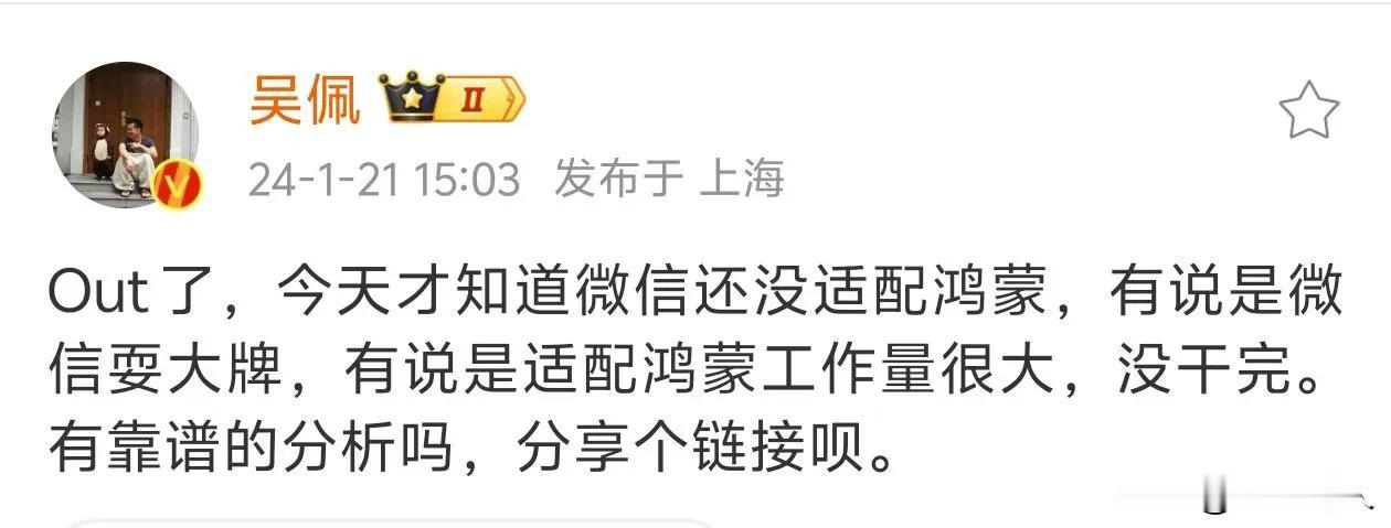 今天看到一个观点，就是好大鹅WX过早适配会打击其他软件适配的积极性，有的软件用小