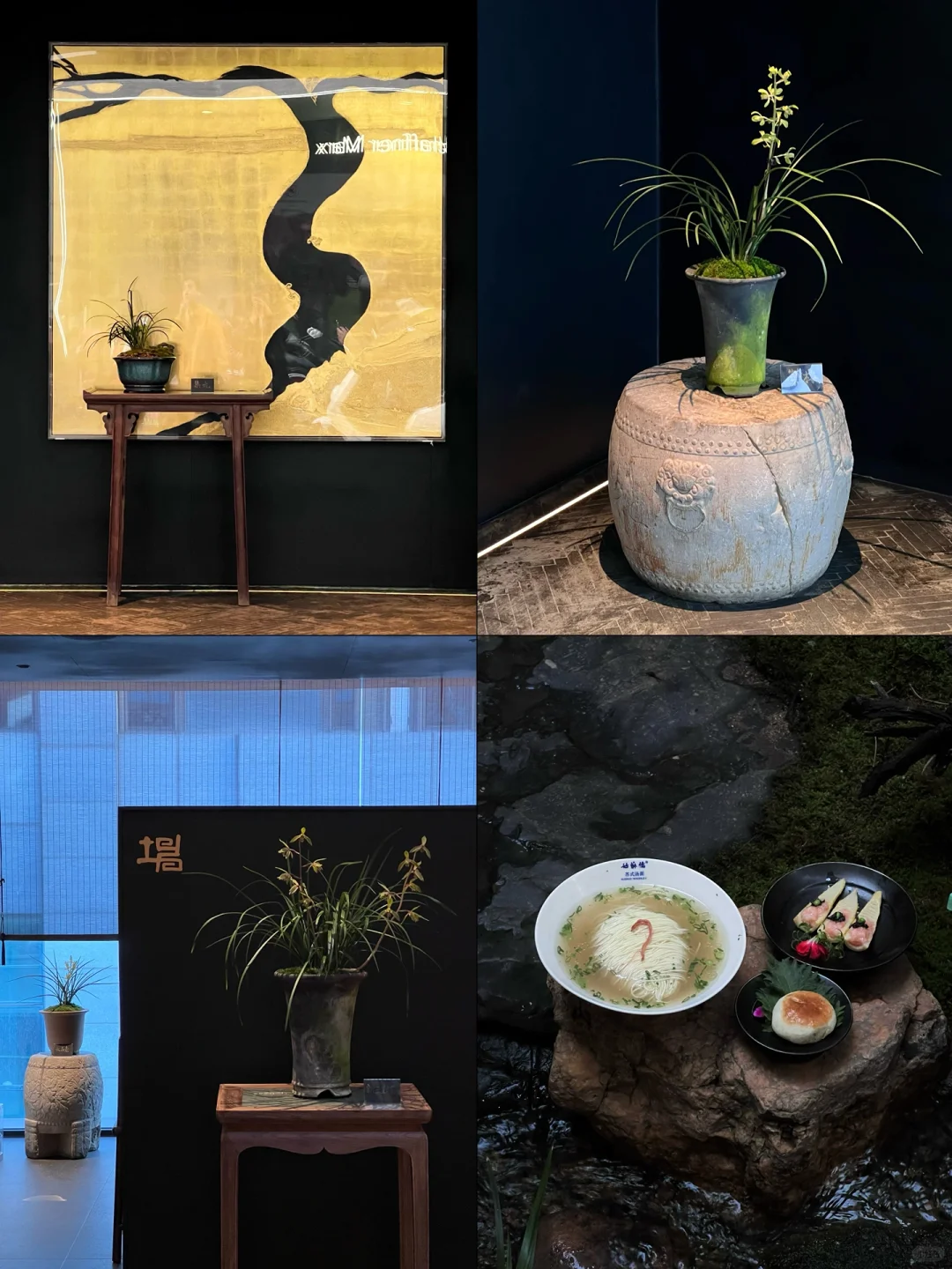 苏州📍99%的人不知道的小众兰花展‼️