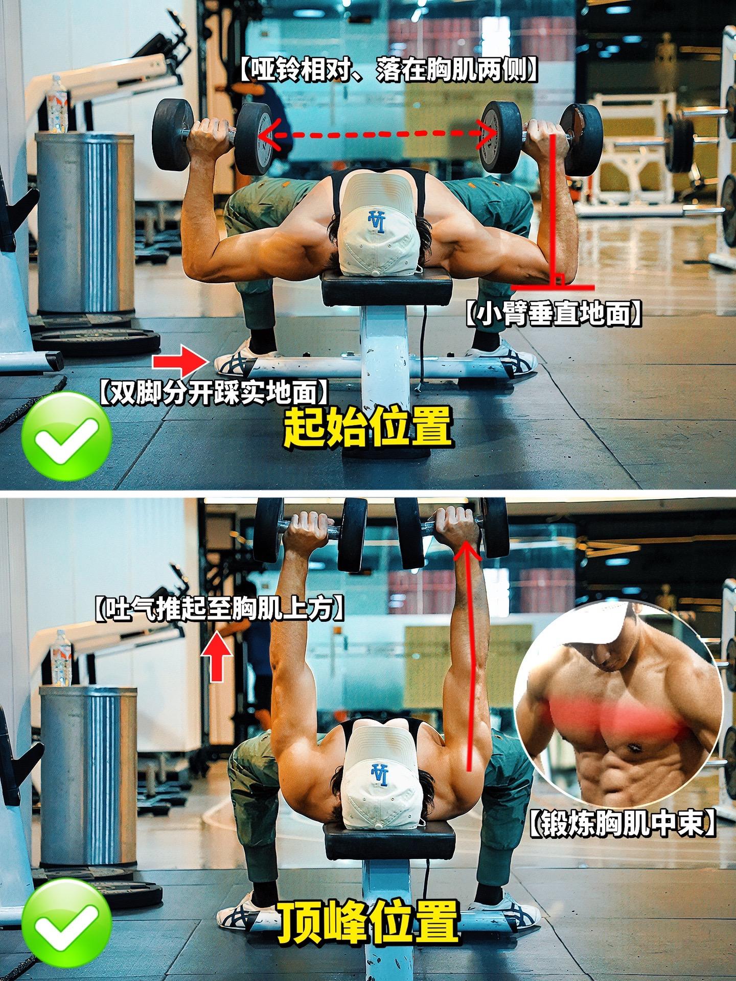平板哑铃卧推全方位解析！平板哑铃卧推常见错误及纠正！看看你都做对了嘛？哑铃卧推