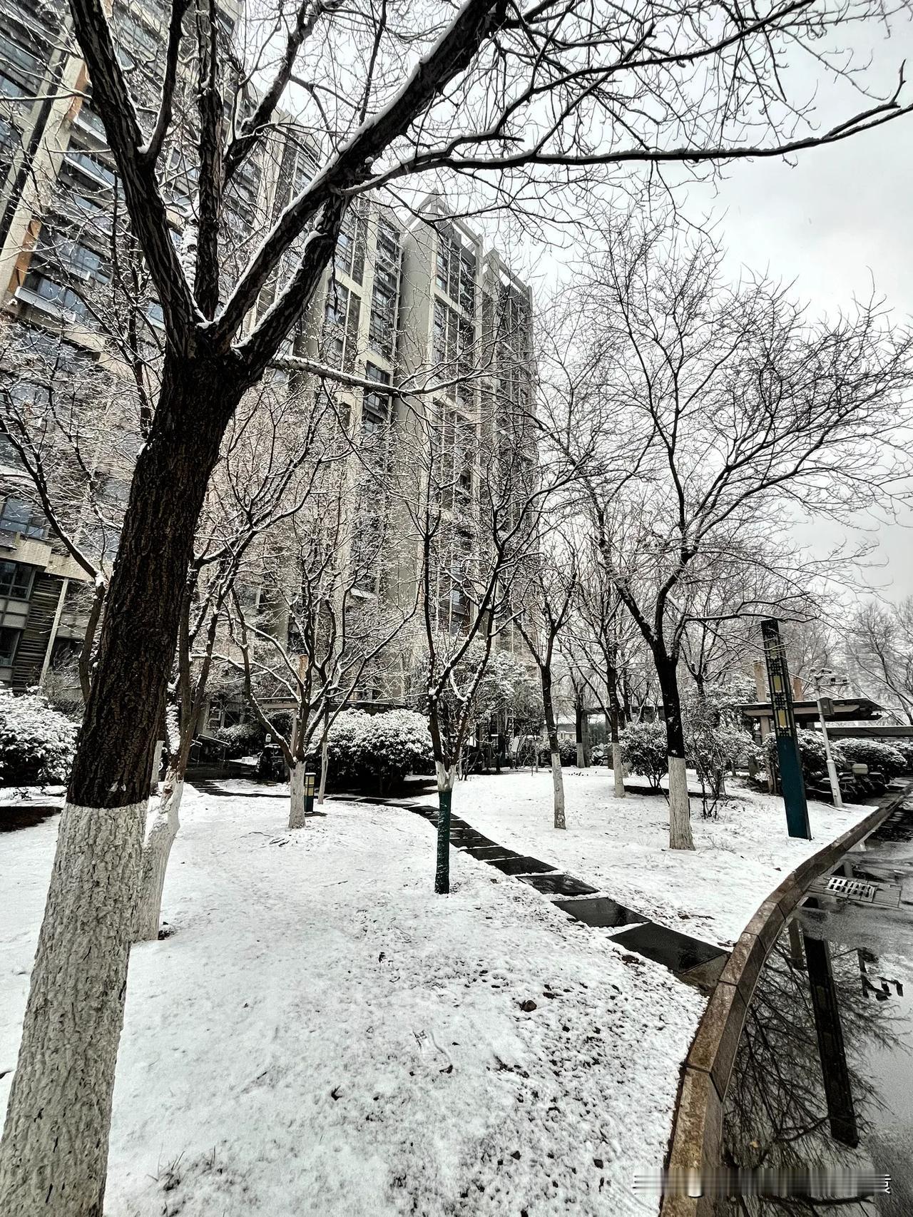 又是揍死小鬼子的一天
转瞬大雪 冬日生活大打卡 今天读书了吗