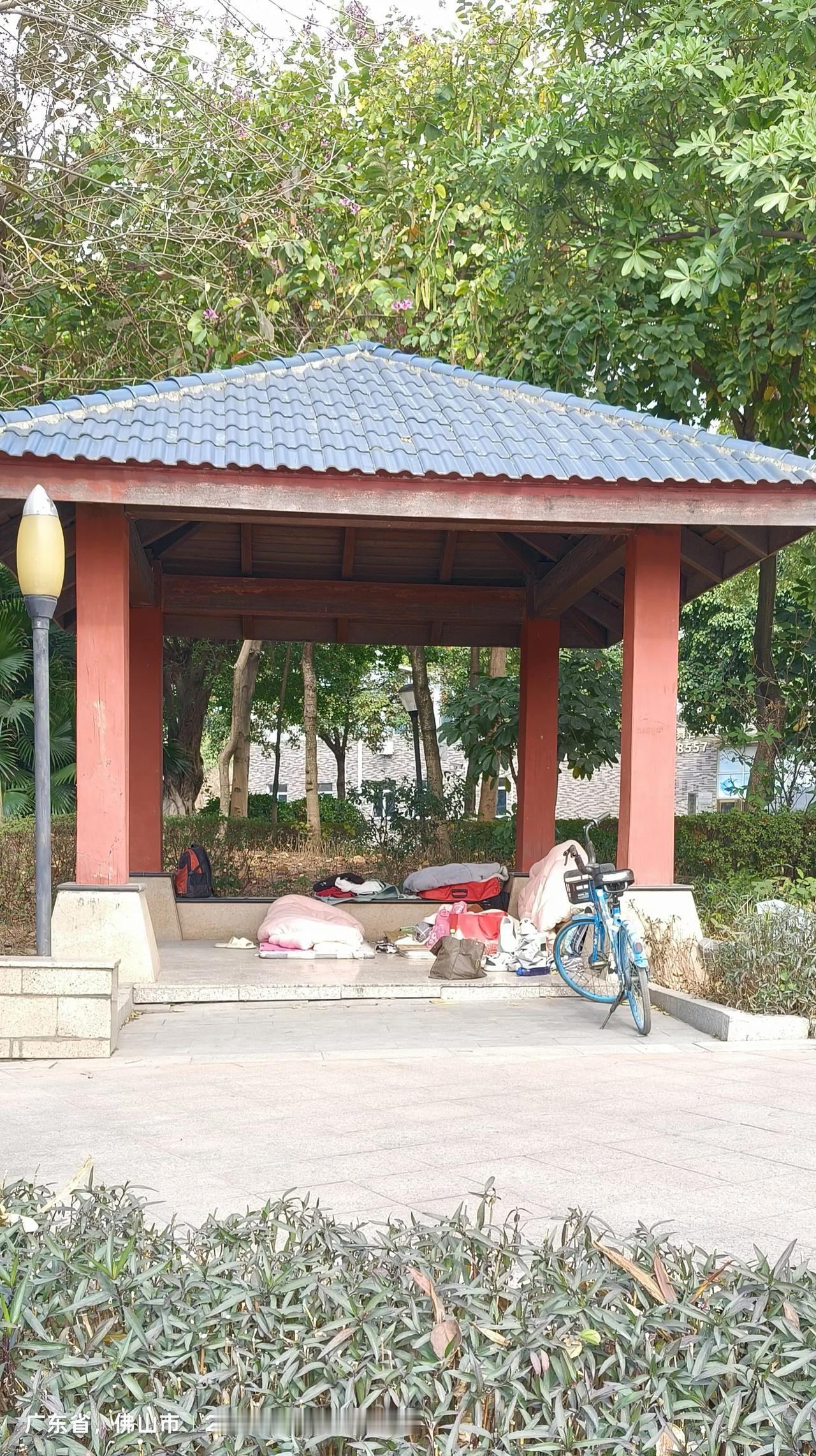 睡在这儿到的是一种什么感觉呀，这大冬天的，再过几天就是春节了，为什么这些流浪人还