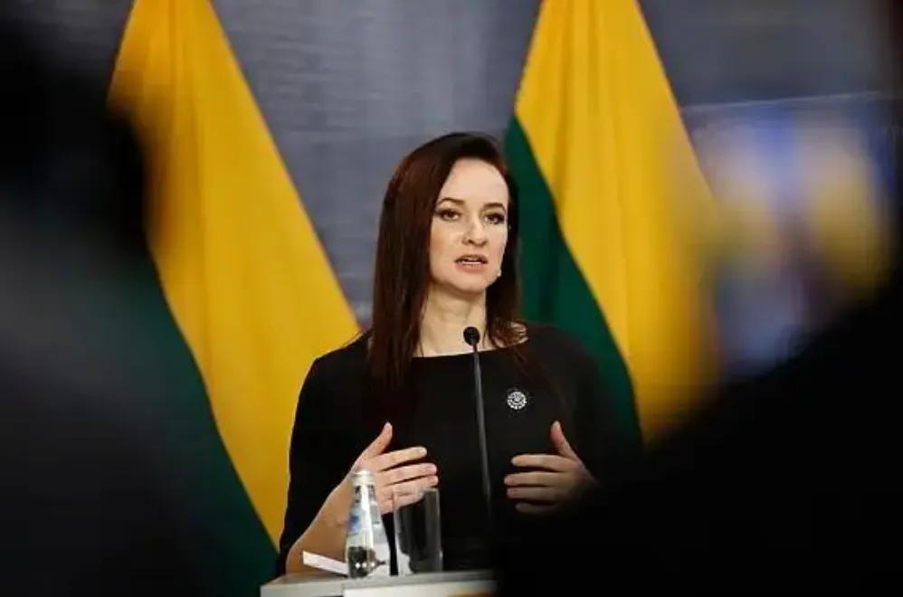 立陶宛新一届政府表态有意推动中立双边关系回归正轨，新任总理在议会施政报告中提出，