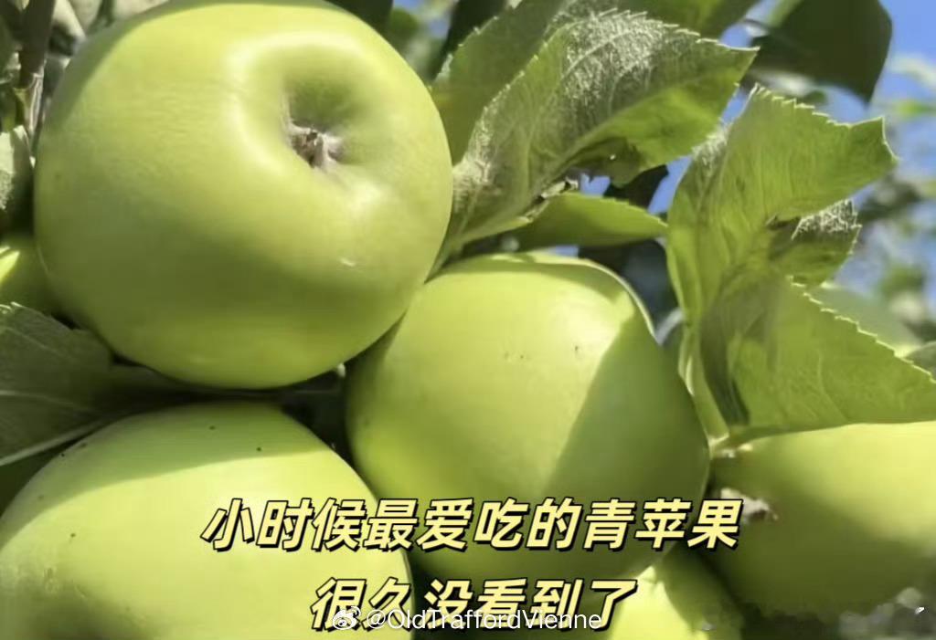 三个都吃过，十分喜欢黄元帅苹果！被淘汰的水果