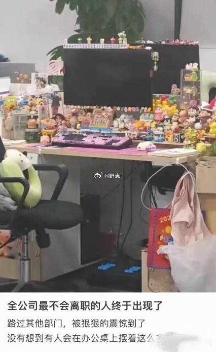 全公司最不会离职的人出现了 