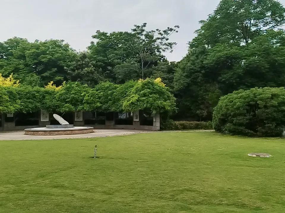 分享一张隨手拍的花