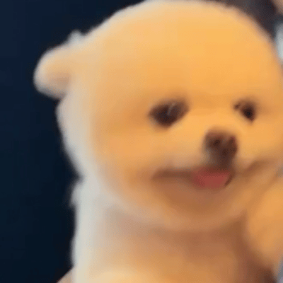 姐姐妹妹姨姨哥哥弟弟叔叔加油！ 