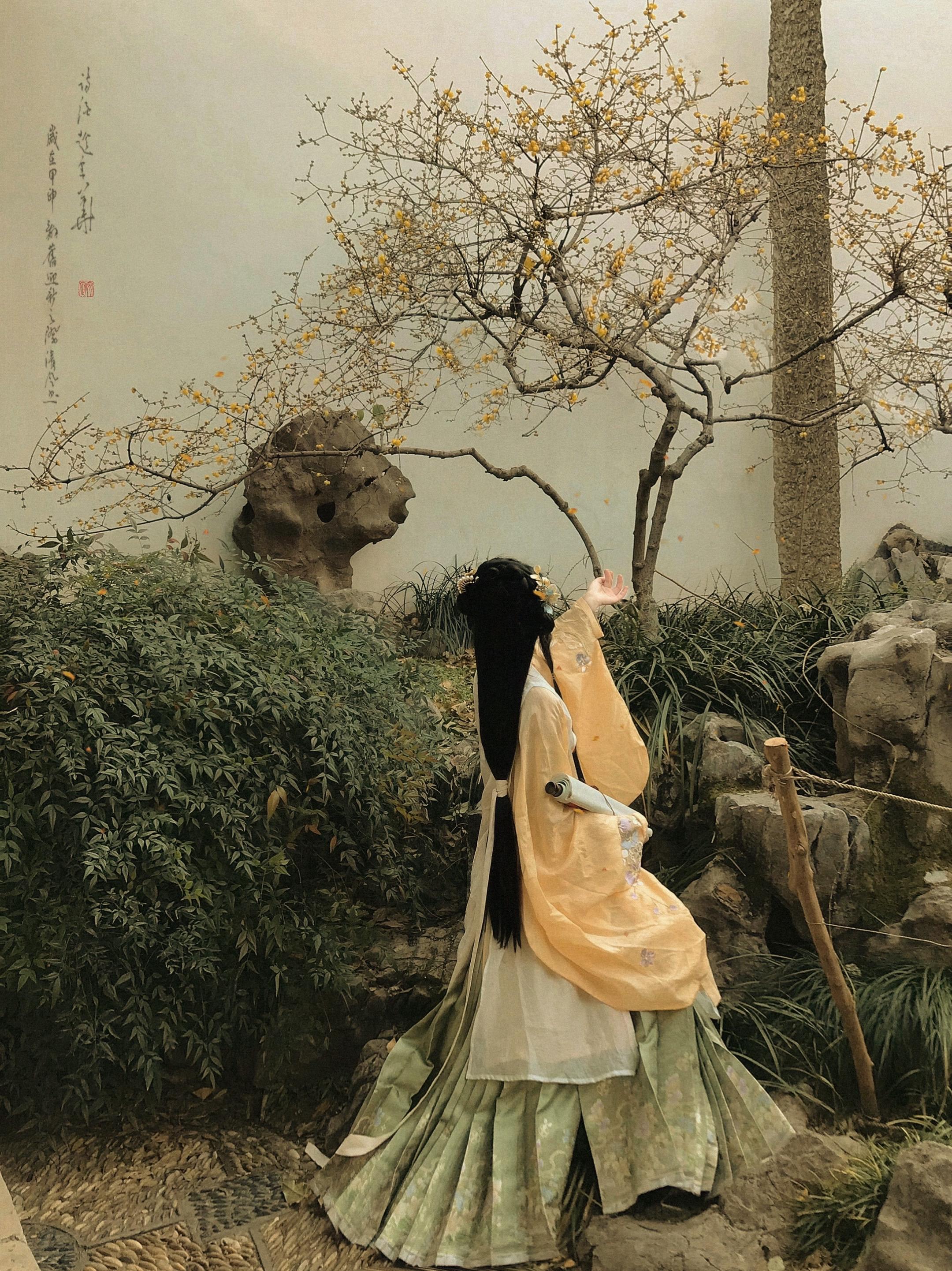 冷月葬花魂…
