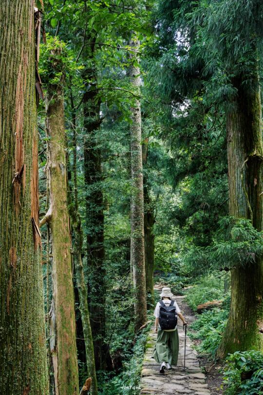 人在山里，40 ℃的杭州和西湖过两天再说‼️