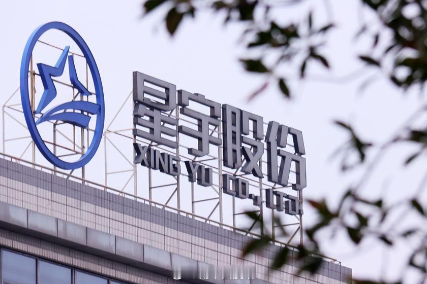 星宇劝退引发跨国调查440招进、107劝退，星宇用半个月工资买断应届生黄金求职期